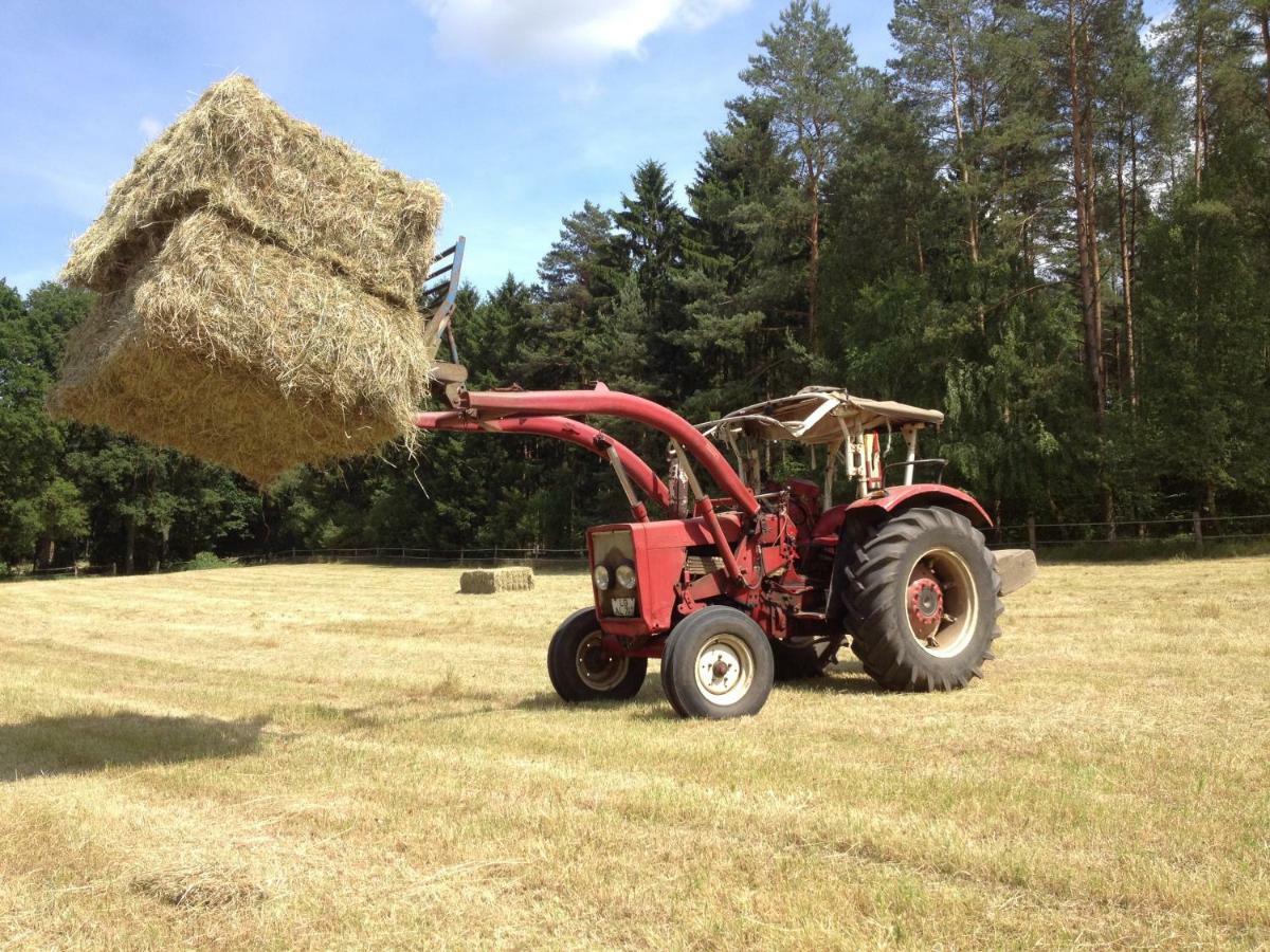 Ferienpension Lindenhof - Ferienwohnungen In Der Lueneburger Heide Marxen am Berge 外观 照片